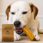 Himalayan Yak Dog Chew - Image 4