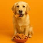 Himalayan Yak Dog Chew - Image 3