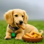Himalayan Yak Dog Chew - Image 2